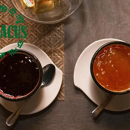 公寓式酒店 左狄雅库斯公寓 巴里