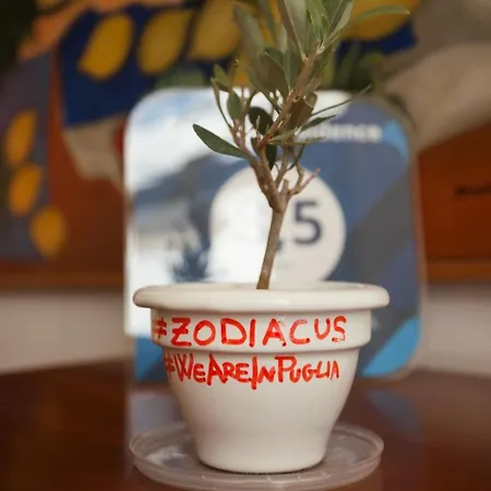 Zodiacus Apart Otel 4*