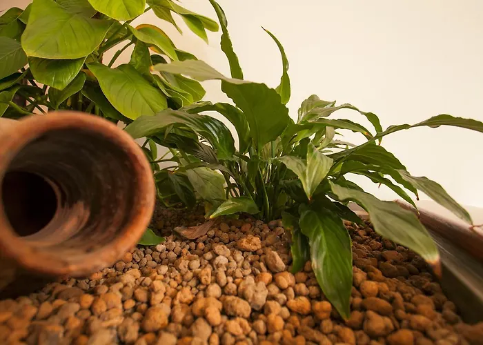 Апарт-готель Zodiacus Барі